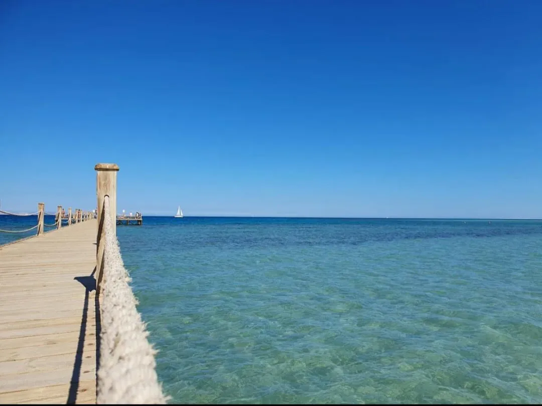 🏖️✨ Zeytouna Beach Day Trip – El Gouna 🌊☀️ Zetouna Beach Day Trip El Gouna /IMG-20260702-WA0113.jpg